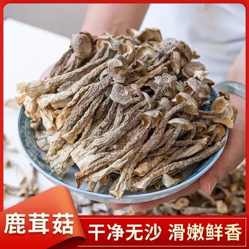 探鲜队福建精品鹿茸菇500g