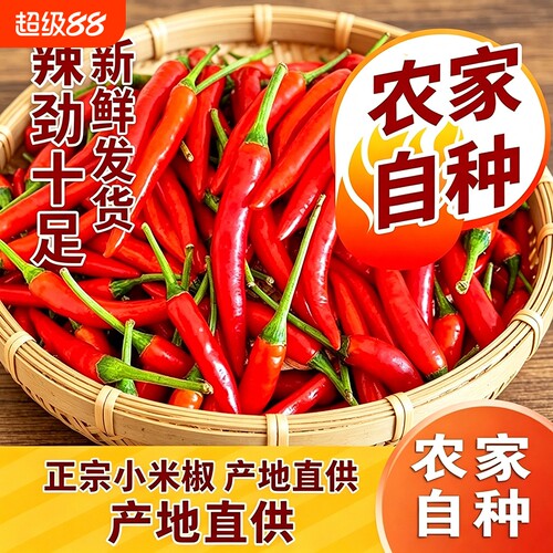 新鲜超辣小米椒9斤|超1000次加购