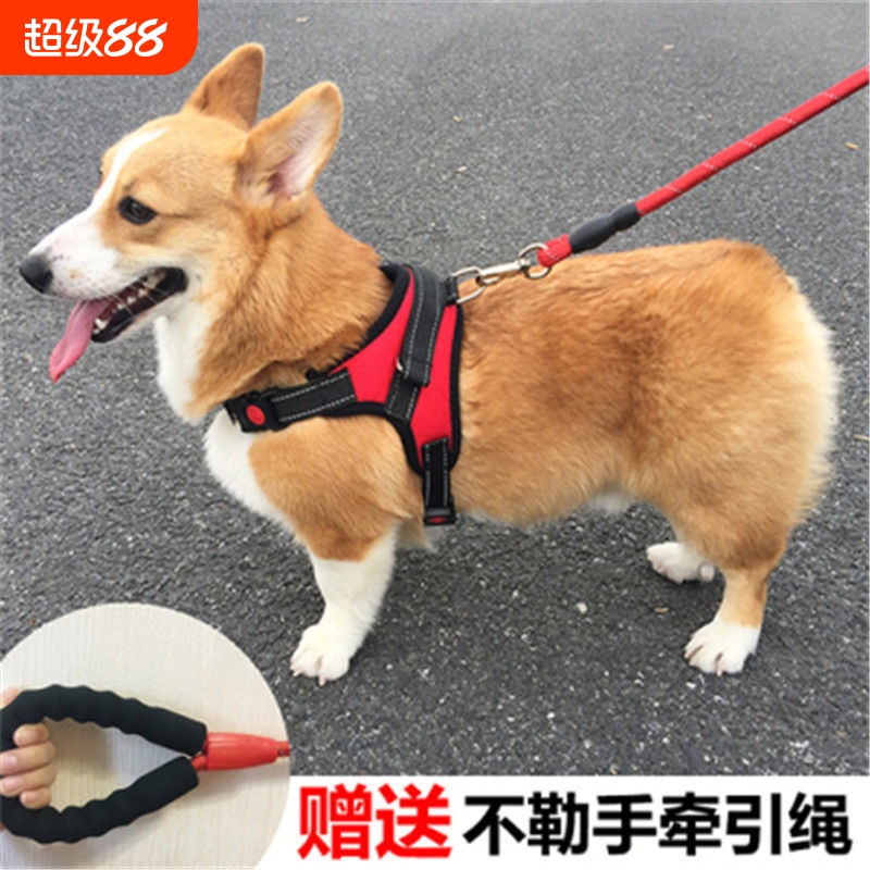 狗狗牵引绳背心式遛狗绳子泰迪法斗柯基中型小型犬宠物用品胸背带