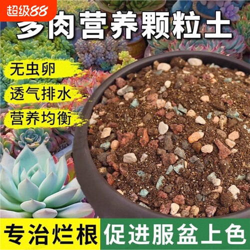 多肉颗粒土专用营养土植物泥炭种植土壤肉肉叶插小苗颗粒花土疏松