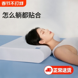记忆棉枕头蓝枕N2蓝枕芯盒子护颈椎学生成人礼盒颈椎病睡眠深睡