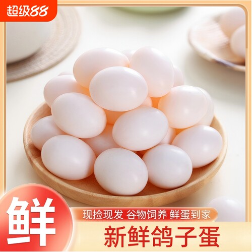 鸽场直供新鲜鸽子蛋孕妈辅食生鲜源头直发口感软嫩日常食补鸽蛋