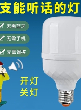 语音灯泡声控灯超灵敏说话开灯关灯2字语音控制led节能灯人工智能