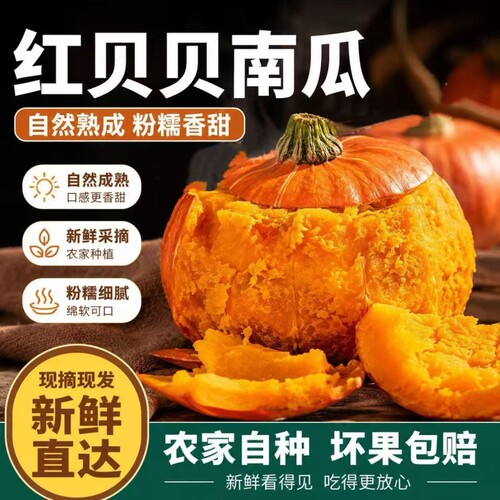 正宗红贝贝南瓜新鲜板栗味粉糯香甜小南瓜现摘现发代餐宝宝辅食