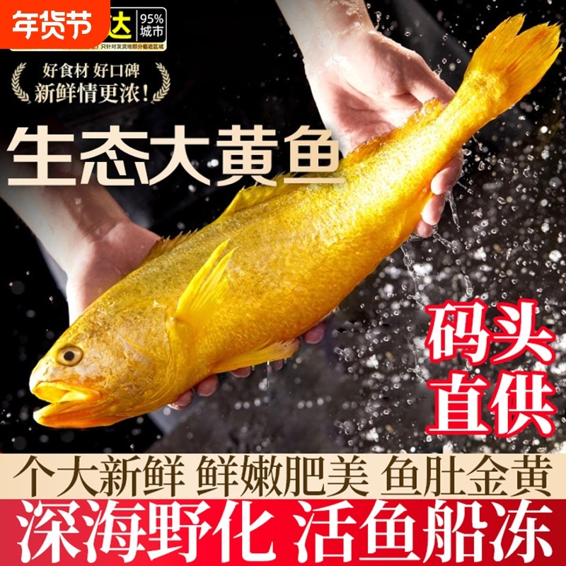 黄花鱼新鲜冷冻深海大黄鱼生鲜海鲜水产小黄鱼鲞鲜活海鱼整箱鱼类,水产肉类/新鲜蔬果/熟食,黄鱼,淘宝优惠券,粉丝福利购,淘宝优惠卷