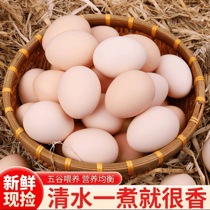谷饲土鸡蛋新鲜30枚鸡蛋鸡蛋柴鸡蛋虫草鸡蛋鲜农村新鲜鸡蛋