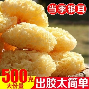 福建古田大朵银耳干货糯耳非野生软糯无硫无干燥剂精选燕窝白木耳