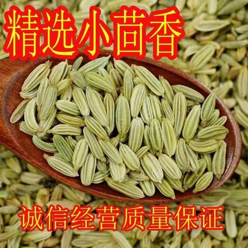 甘肃小茴香料调料卤料佐料