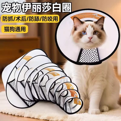 伊丽莎白圈防舔防水猫咪用品