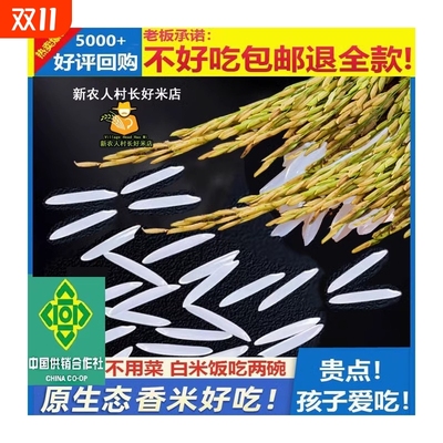 新鲜猫牙长粒香米广西长寿市农家
