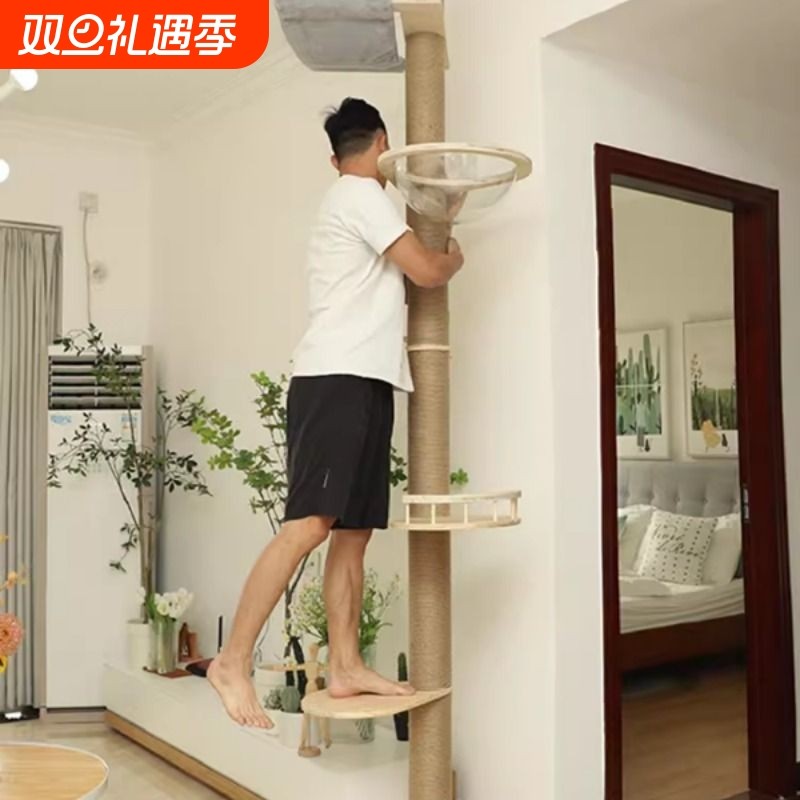 通天柱猫爬架不占地猫窝猫树一体猫抓柱顶天立地猫架猫屋麻绳实木