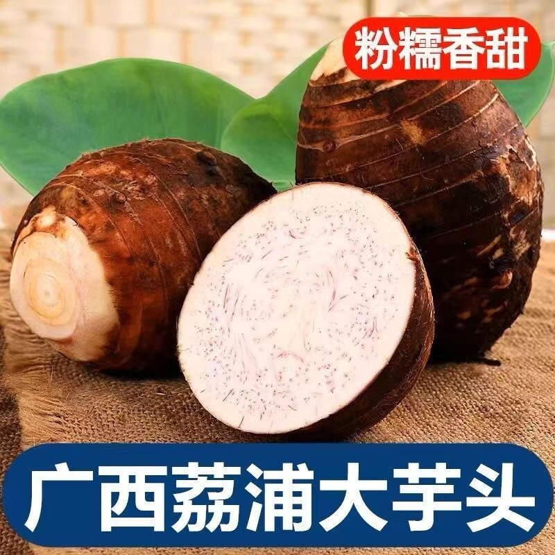 广西正宗荔浦芋头特产现挖槟榔芋软粉农家紫纹荔浦芋头正宗批发