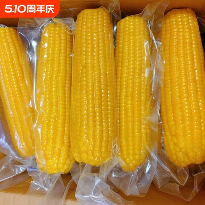 软糯新鲜糯玉米10根真空包装早餐玉米棒饱腹代餐非转基因拉丝玉米