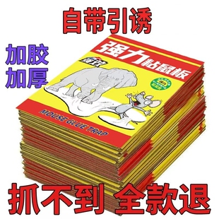 粘鼠板强力胶粘大老鼠家用老鼠贴加厚一窝端超粘捕捉神器2026新款