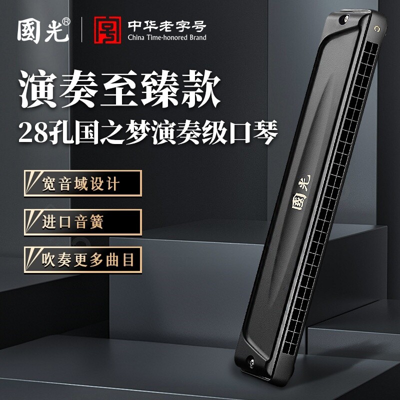 进口音簧国光口琴24孔复音#A/B/C/D/F/G调/降28孔重音专业演奏级