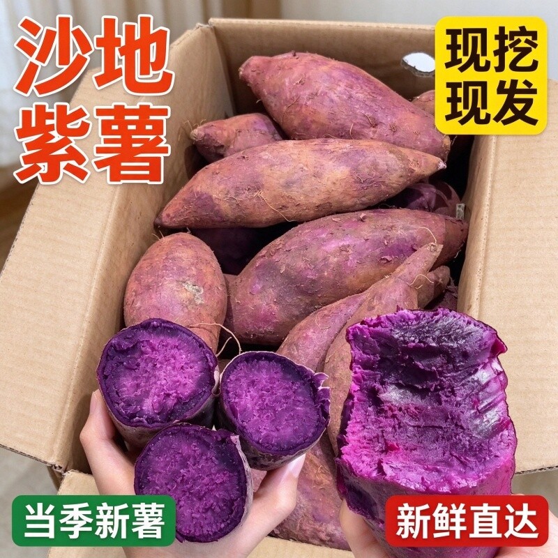 紫薯现挖新鲜无丝农家板栗紫番薯地瓜代餐饱腹新鲜发货沙地现挖