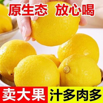 四川安岳黄柠檬商用皮薄