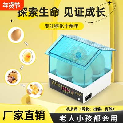 HHD孵蛋器小鸡孵化机孵蛋机小型家用迷你孵化器自动孵化盒水床