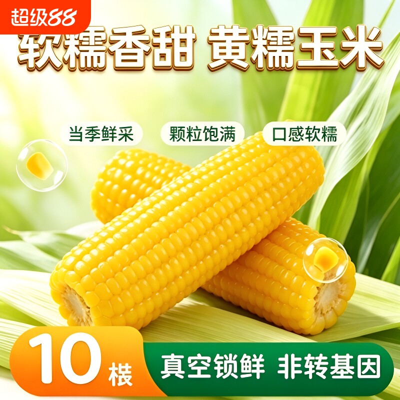 东北特产新鲜黄糯玉米软糯拉丝真空装粘粘苞米代餐香甜早餐玉米棒