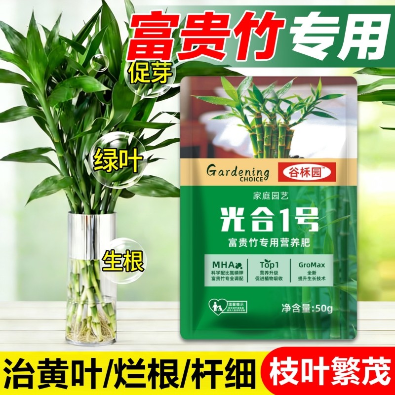 富贵竹专用营养肥水培治黄叶促生根家用转运竹盆栽通用肥料氮磷钾,鲜花速递/花卉仿真/绿植园艺,家庭园艺肥料,淘宝优惠券,粉丝福利购,淘宝优惠卷