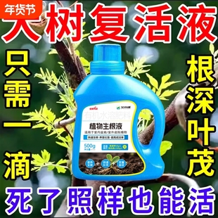 生根剂药水大树复活营养液枯树再生果树木移栽花卉植物扦插通用型