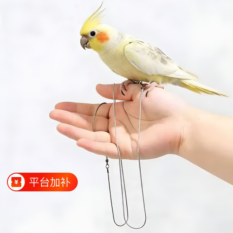 鹦鹉脚环防护披肩防抓玄凤小太阳虎皮训鸟防拉屎互动遛鸟链八哥