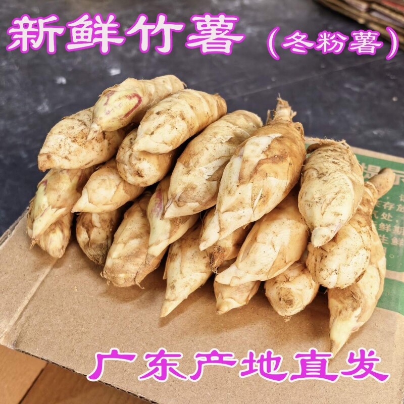 农家新鲜竹薯现挖竹芋当季冬粉薯凉粉薯根茎竹笋薯煎炸煲汤炒菜