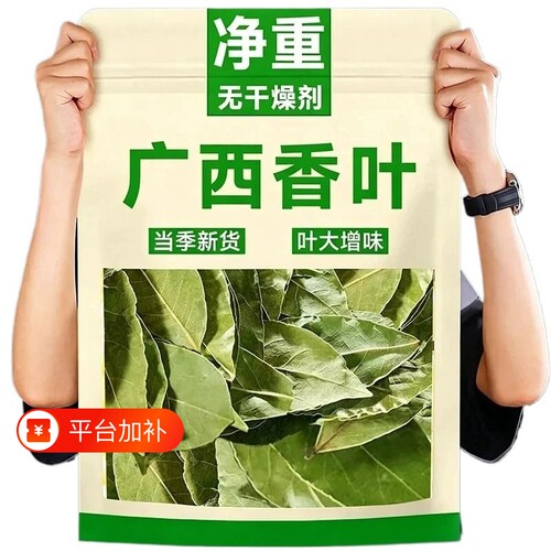 广西香叶新鲜头茬香叶新货香叶八角无硫香叶香料卤料商用食用批发