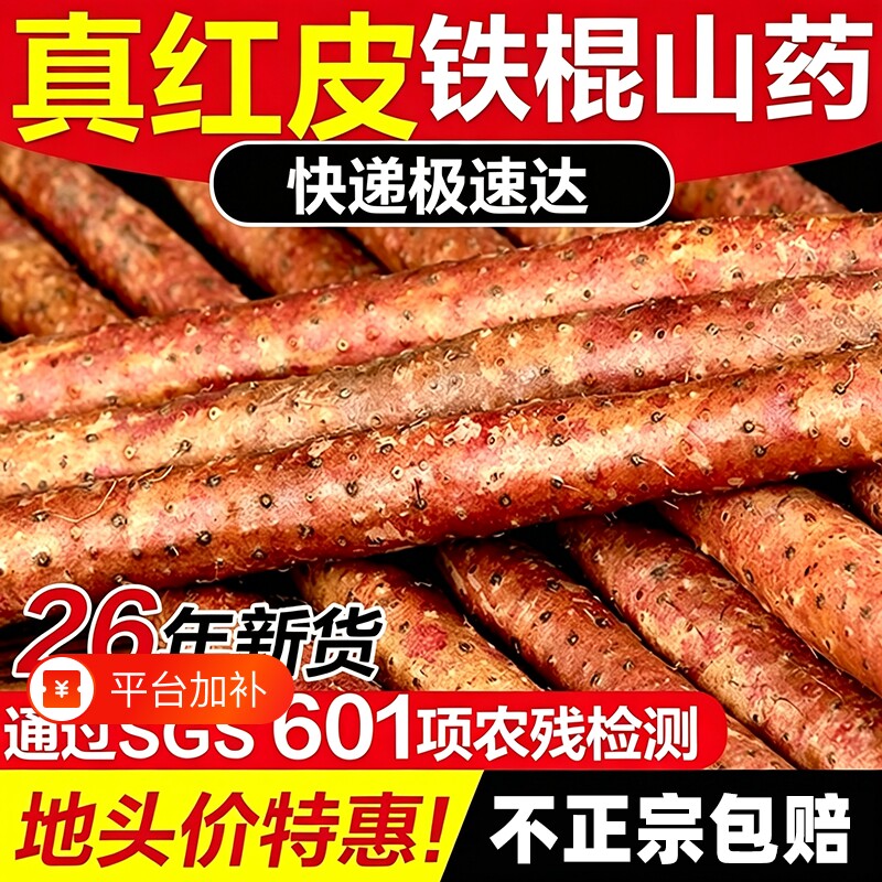 温县铁棍山药新鲜淮山药河南焦作正宗红皮乌鸡土铁棍山药礼盒新货
