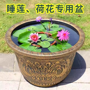 特大号塑料花盆加厚耐用树脂户外大口径铁树荷花睡莲养鱼盆水培