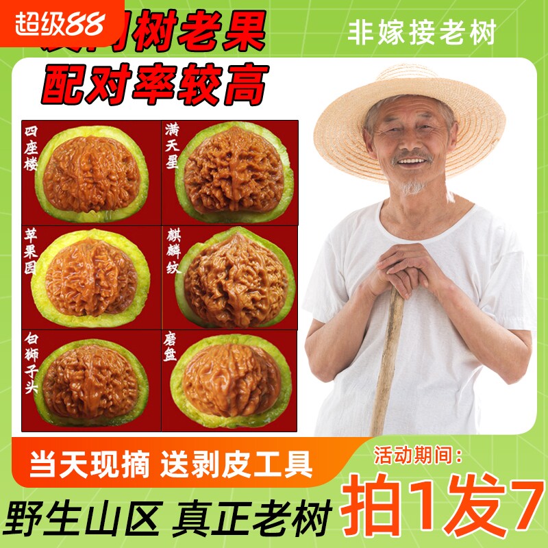 野生文玩核桃精品青皮大尺寸把玩四座楼狮子头官帽苹果园白狮三棱