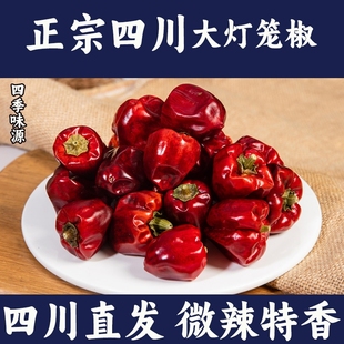 灯笼椒干辣椒正宗四川海椒微辣特香商用红圆干货灯笼辣椒辣子鸡
