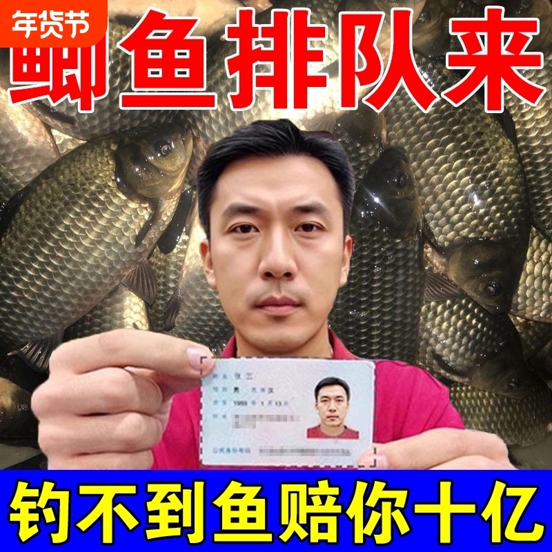 鲫鱼专用钓鱼饵料四季通用型通用主攻大板鲫黑坑野钓浓腥鲫鱼专用,户外/登山/野营/旅行用品,活饵/谷麦饵等饵料,淘宝优惠券,粉丝福利购,淘宝优惠卷