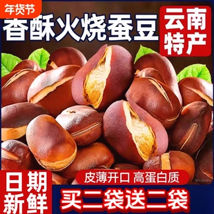 正宗云南火烧蚕豆原味土特产农家干炒蚕豆胡豆无油老式炒蚕豆零食