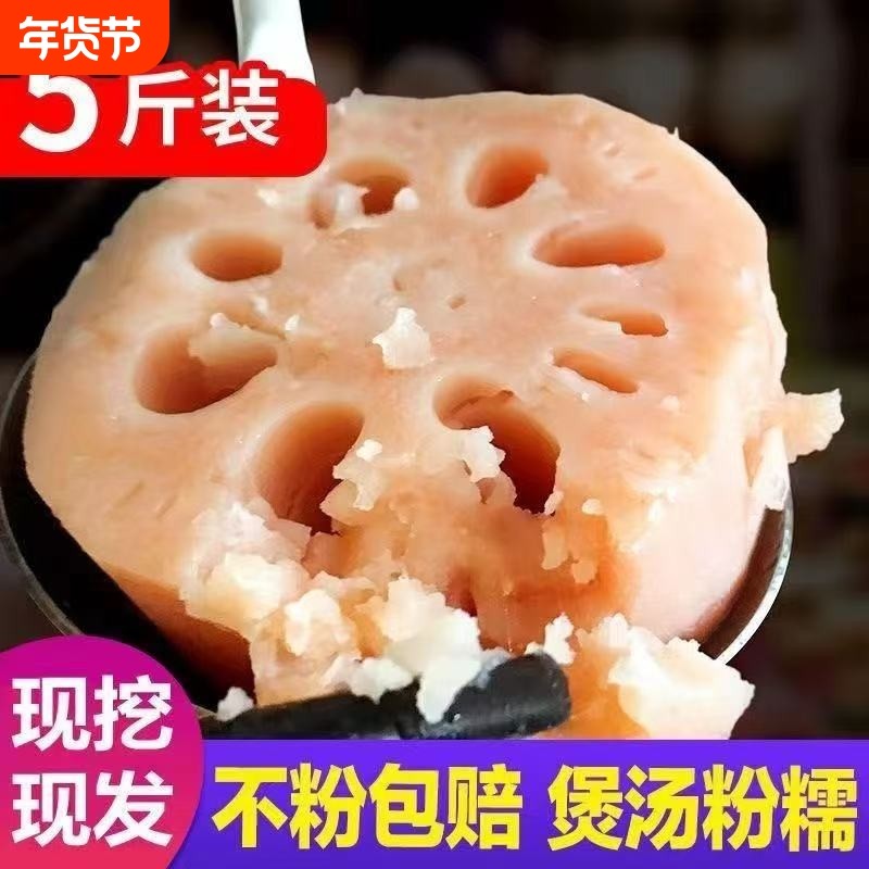 正宗洪湖粉藕莲藕煲汤藕现发糯米藕炖汤九孔藕湖北红莲藕挖现新鲜,水产肉类/新鲜蔬果/熟食,莲藕,淘宝优惠券,粉丝福利购,淘宝优惠卷