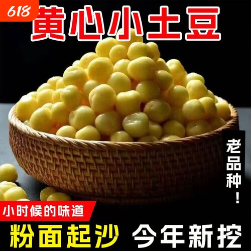 正宗恩施小土豆新鲜农家
