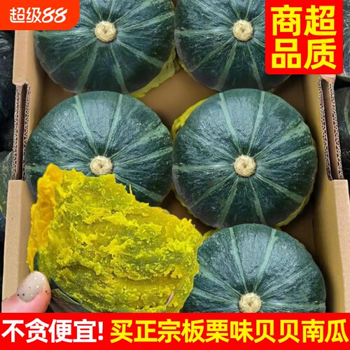 正宗板栗味糖心贝贝小南瓜