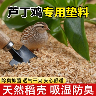芦丁鸡垫料稻壳专用柯尔鸭发酵床鹌鹑小宠除臭无尘专用垫料谷壳