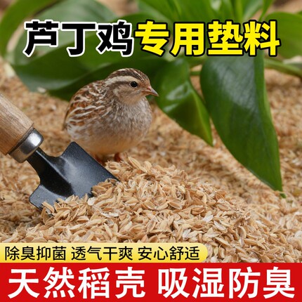 芦丁鸡垫料稻壳专用柯尔鸭发酵床鹌鹑小宠除臭无尘专用垫料谷壳
