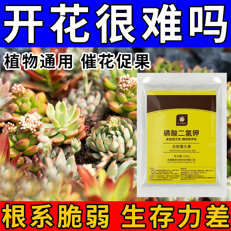 磷酸二氢钾肥料花卉专用正品农用磷肥花肥花用磷钾肥叶面肥P