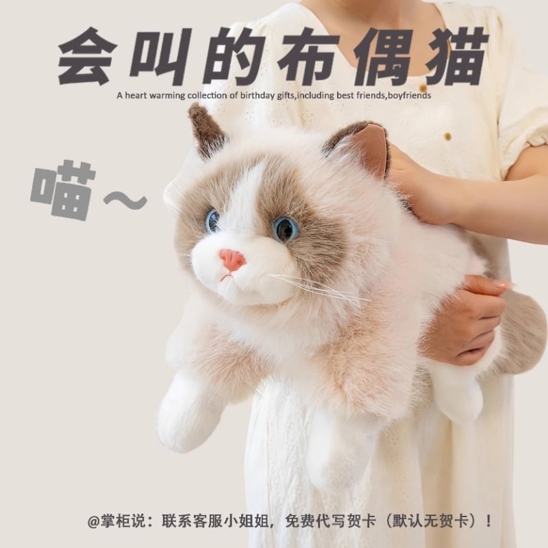 仿真猫咪小猫玩偶毛绒玩具儿童安抚陪睡睡觉抱布偶猫娃娃生日礼物