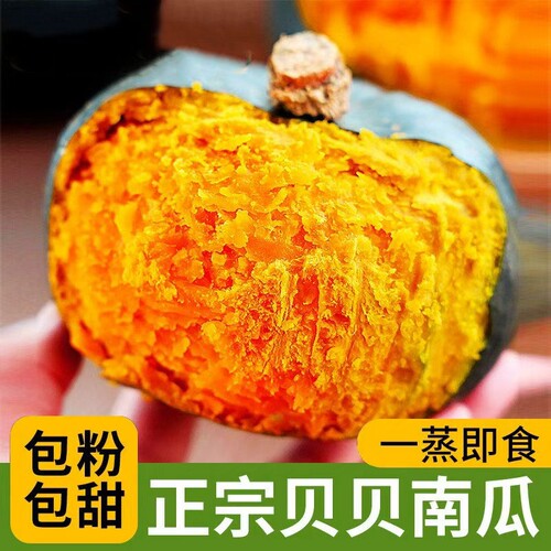 贝贝南瓜新鲜板栗味老南瓜