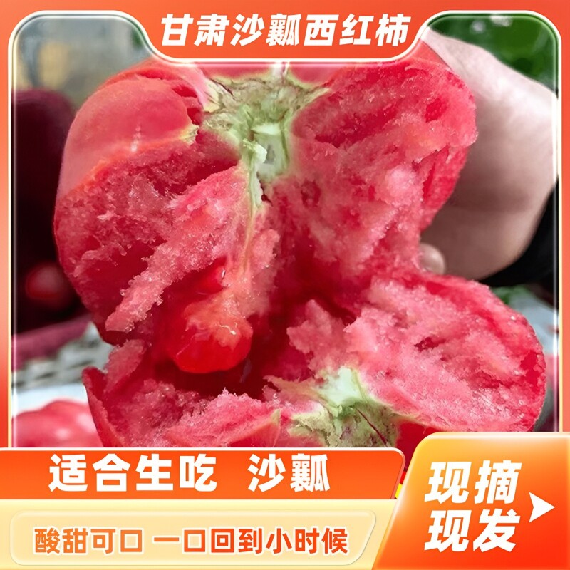 甘肃沙漠当季新鲜沙瓤西红柿现摘农家自种自然熟柿子蔬菜果蔬凉拌