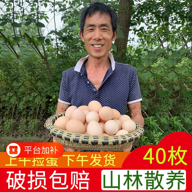 当日鲜蛋正宗农家土鸡蛋农家散养柴鸡蛋笨鸡蛋草鸡蛋新鲜鸡蛋40枚