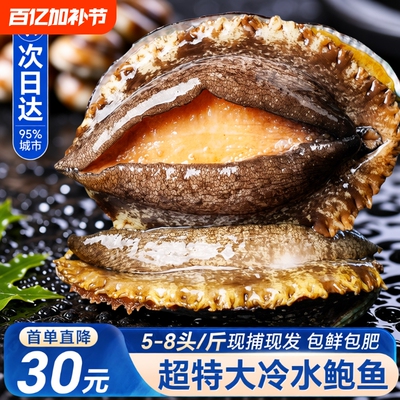 鲍鱼鲜活整只超大海鲜水产生鲜活特大冷冻加热即食干小鲍鱼捞汁饭