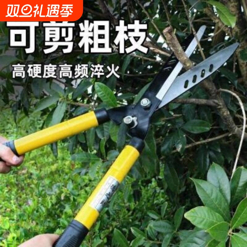 园艺园林果树剪刀修剪树枝盆栽神器家用绿化剪刀枝修剪刀专用工具