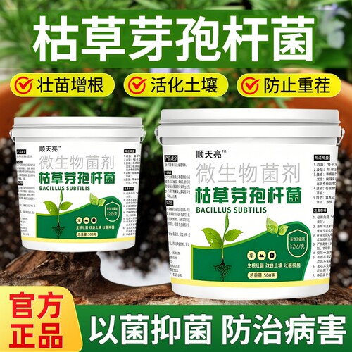 枯草芽孢菌杆菌正品旗舰店微生物菌剂兰花桂花专用农用土壤改良剂