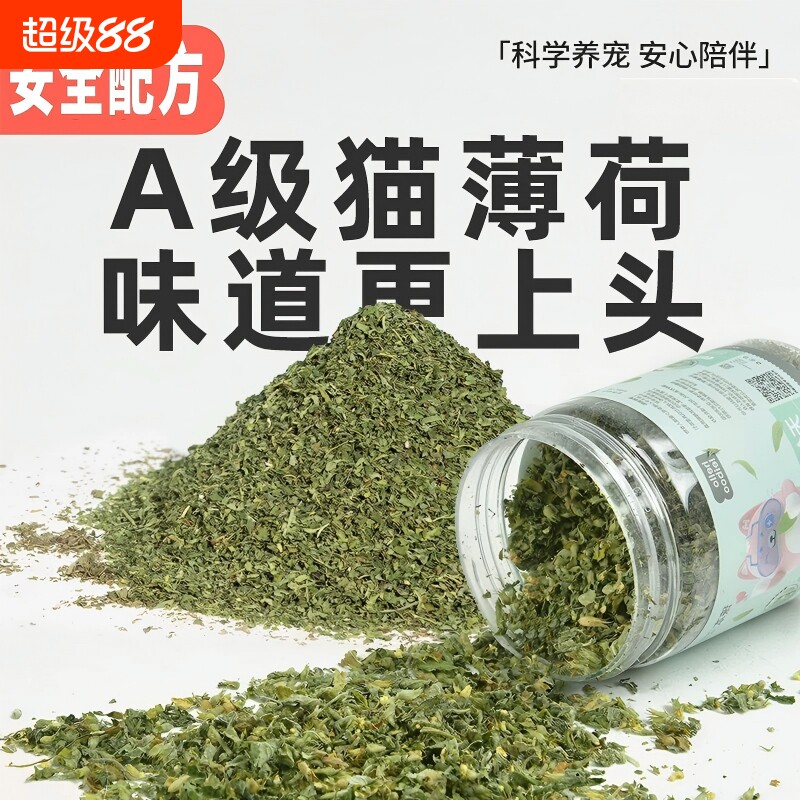 猫宠物达人推荐!猫薄荷粉末天然图片