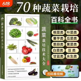 蔬菜栽培技术大全全国农业技术推广服务中心编园艺专业科技新华书店正版图书籍中国农业出版社