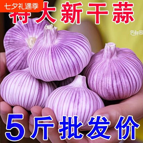 正宗金乡新干蒜头新鲜蒜干蒜